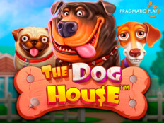 Red dog casino no deposit bonus codes 2023. Şutbet online bahis.84